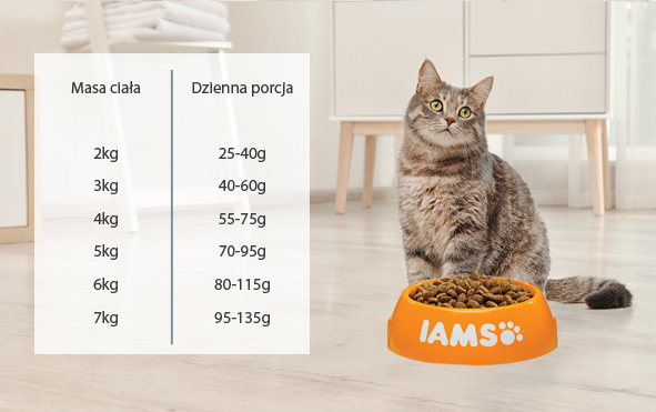 IAMS for Vitality dla dorosłych kotów z jagnięciną 3 kg dawkowanie